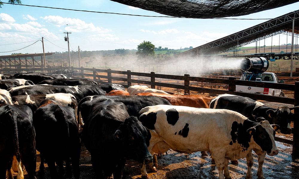 Agroindústria e Pecuária