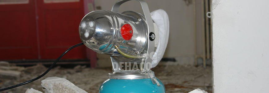 banner-pagina-dust